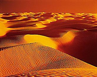  网友惊呆无语 国外《任天堂大乱斗DX》比赛靠BUG决胜