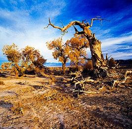 索尼计划在2023财年售出2500万台PS5 创造纪录